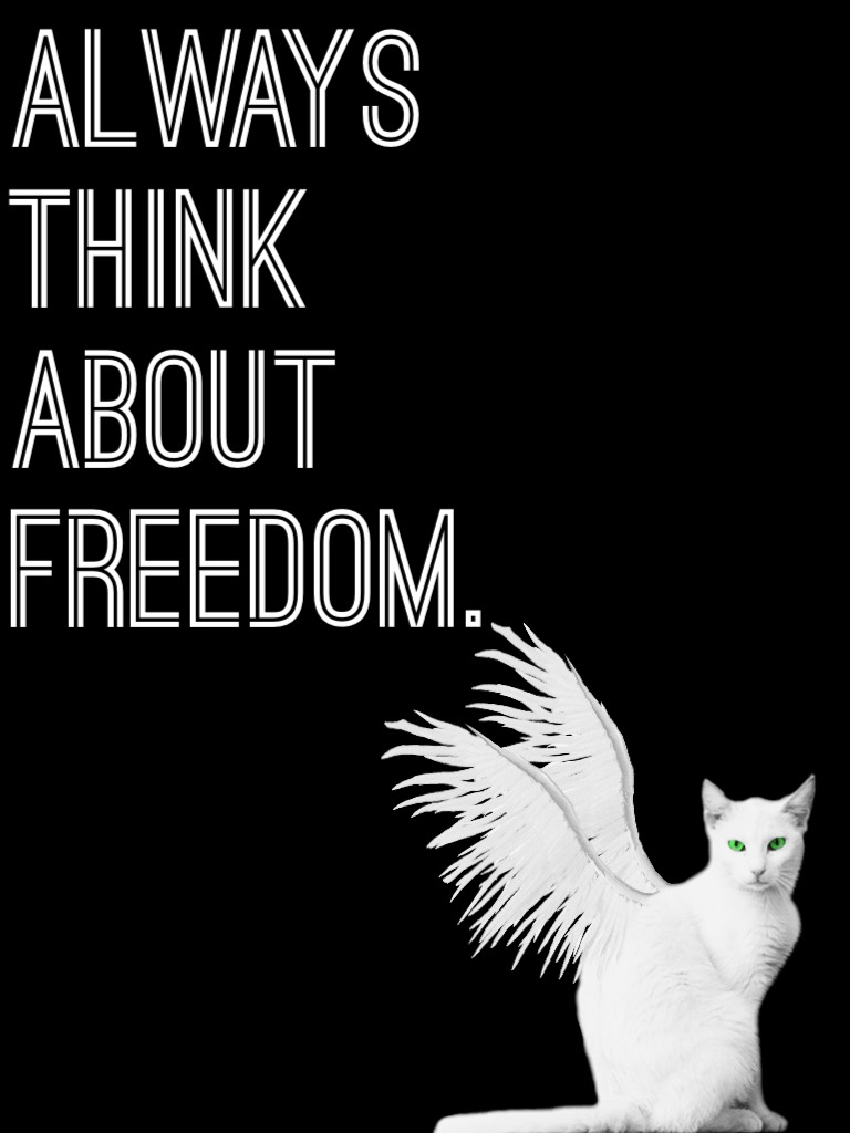 #freedom