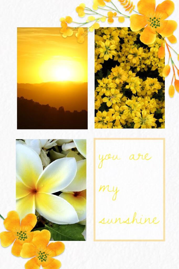 you are my sunshine // rate?? // what are your plans for the 4th of July?