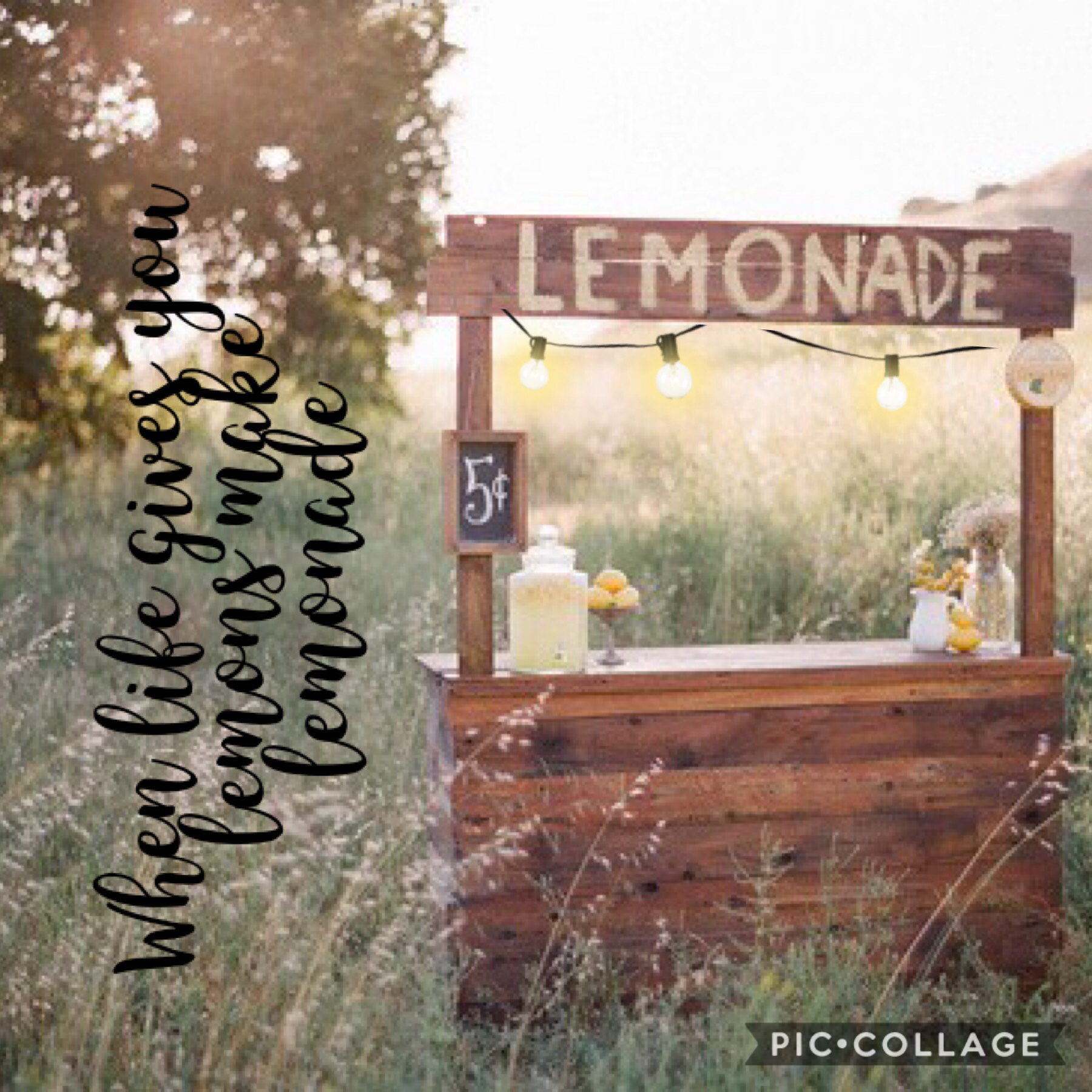 We life gives you lemons make lemonade 
