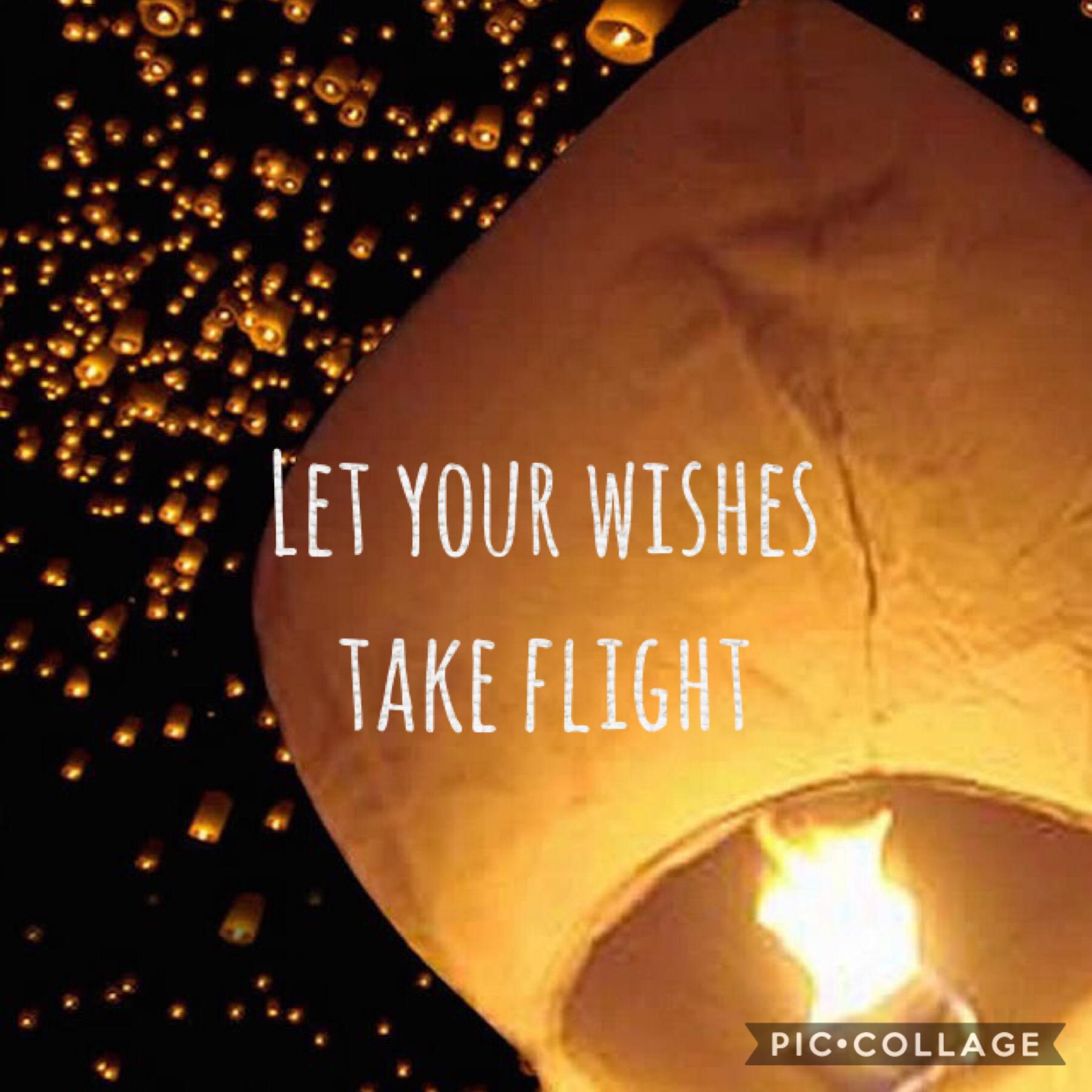 Fly away and come back with a true wish today!