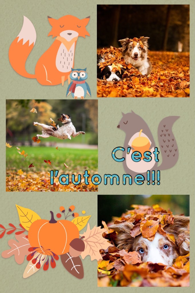 C'est l'automne!!!