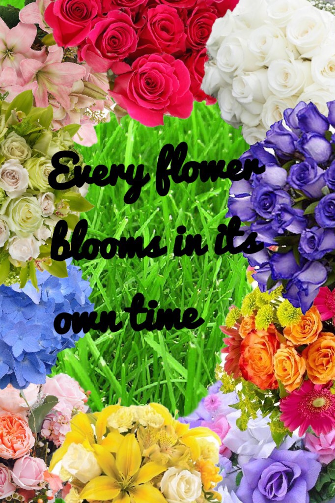 Every flower blooms in its own time 💐🌷🌹🌺🌸🌼🌻✨💕