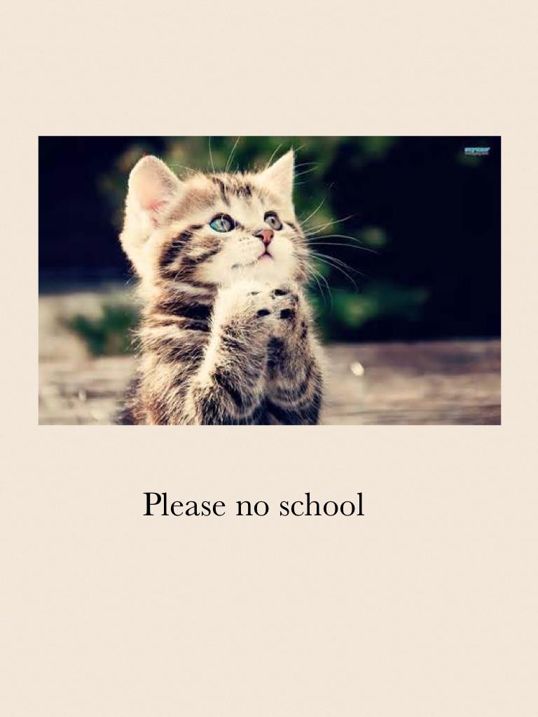 Please no homework or school