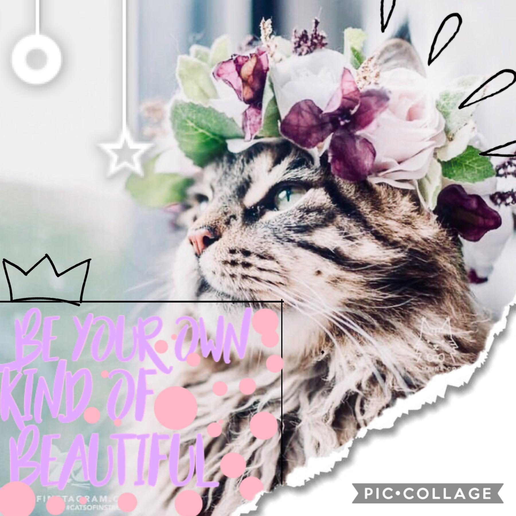 👑tap for flower crowns👑
👑👑👑👑👑👑👑👑👑👑👑👑👑👑👑👑🌸🌸🌸🌸🌸🌸🌸🌸🌸🌸🌸

Qotd: fave hair accessory 
Aotd: nothing, I just wear my hair down!