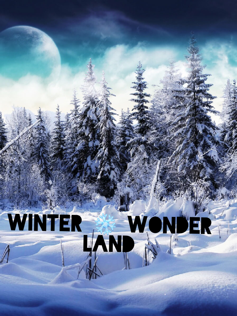 Winter ❄️ wonder land 