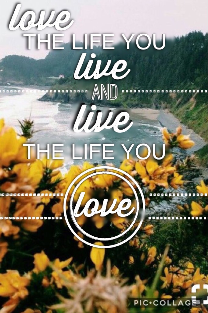 live and love your life