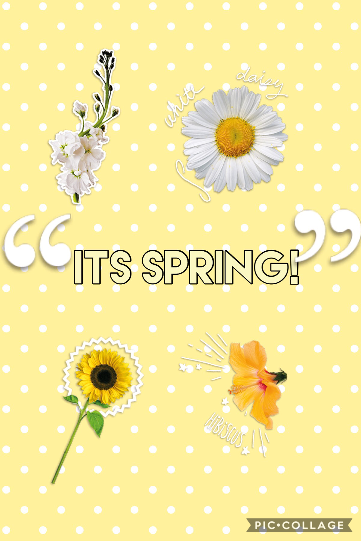 Yay! It’s finally SPRING! Like if you love spring! #first post