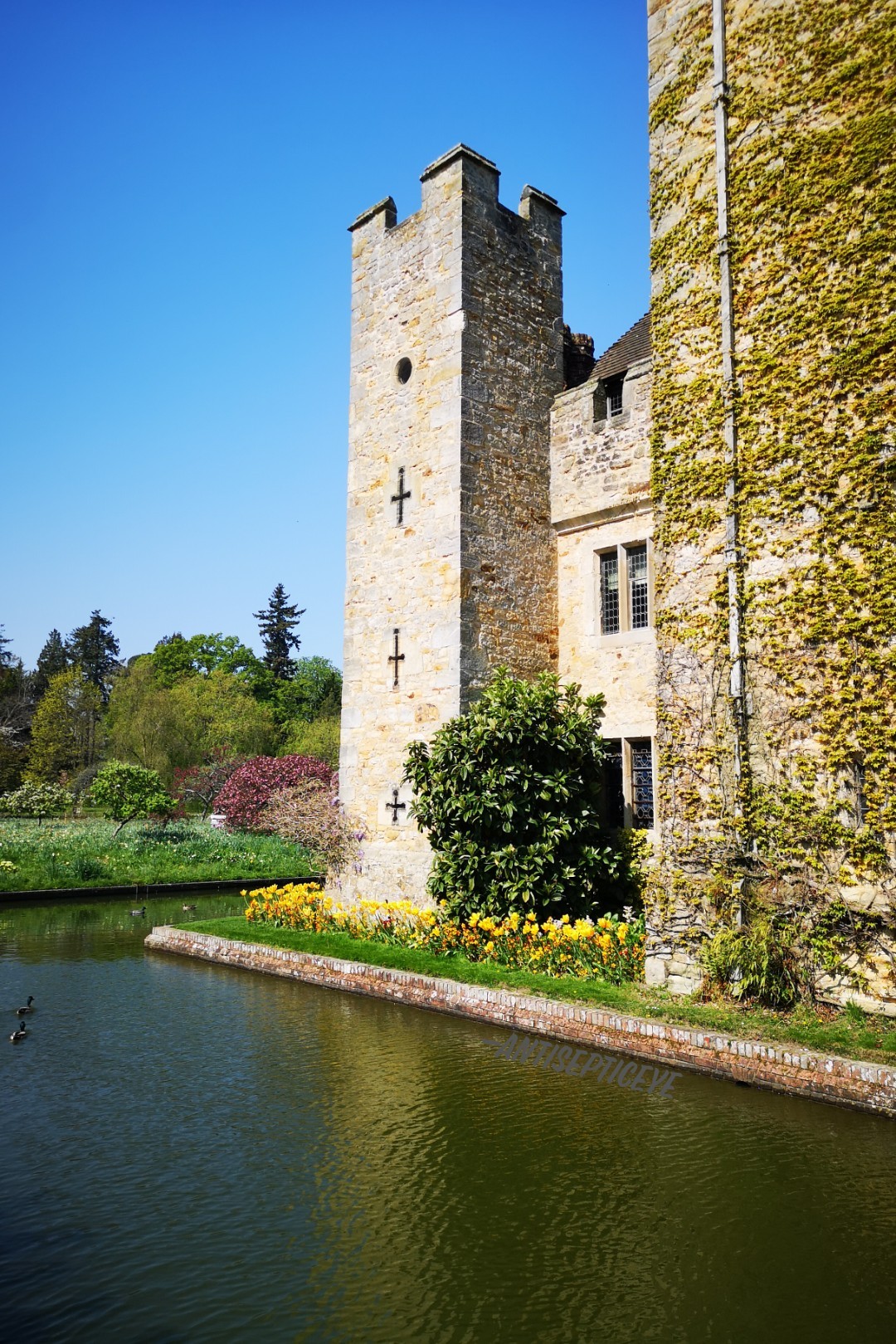 Happy Easter ya'll! Visited Hever Castle today,, more walking done :') 