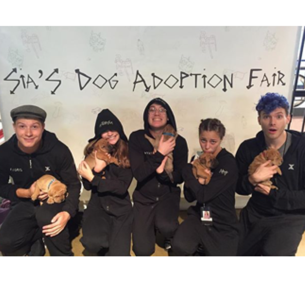 Looking to adopt? You could be bringing home one of these adorable little puppies! Come check out Sia's Dog Adoption Fair! 