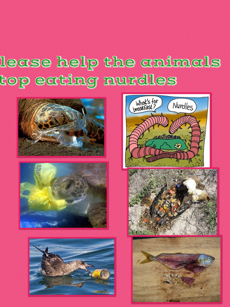 Please help the animals stop eating nurdles