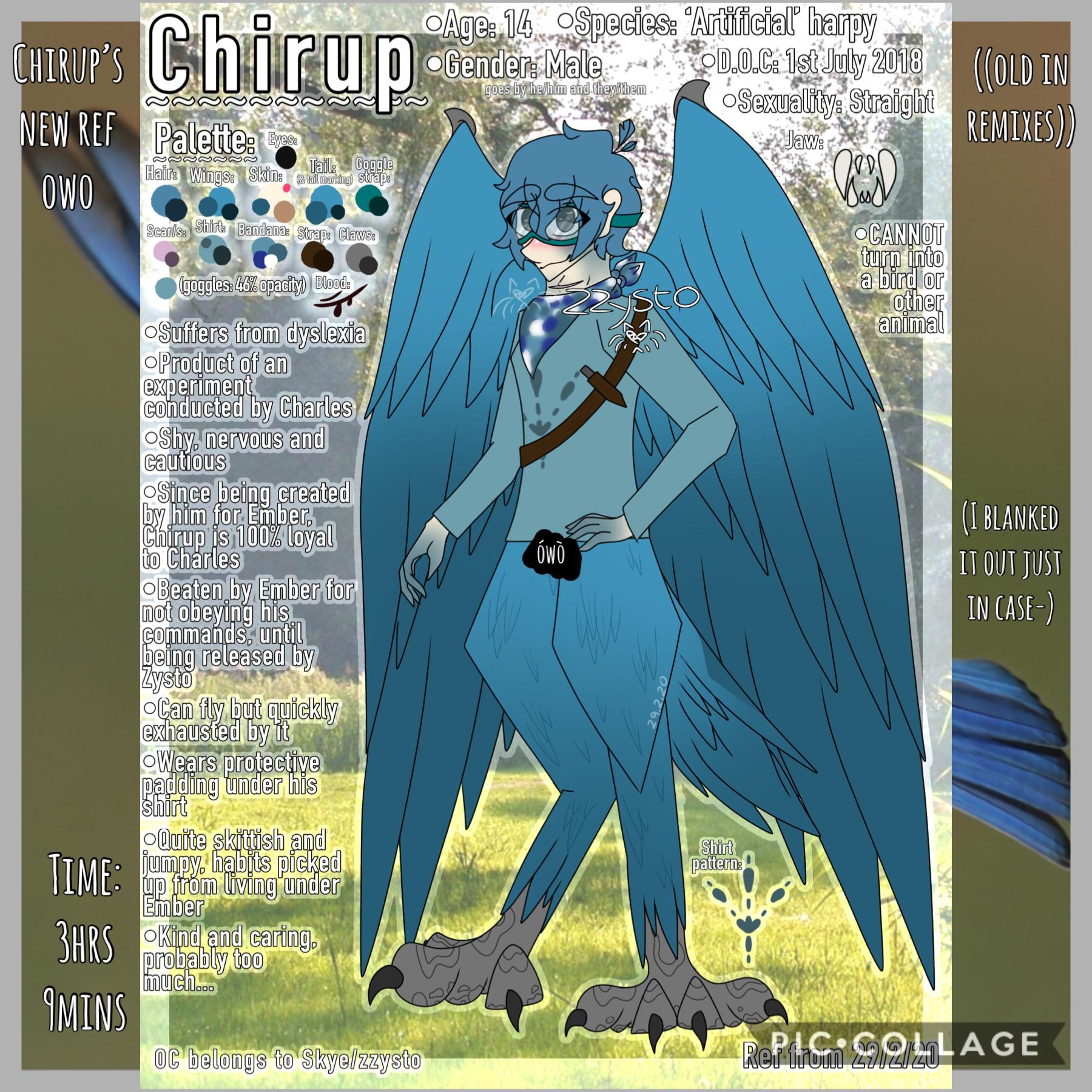 🦅Tap🦅
((old in remixes))
I haven’t been feeling close to some ocs lately, and Chirup is one of my main. I decided to give him a new ref as well as redesign him which I’ve been meaning to for a while. I hope y’all are ok with the changes-