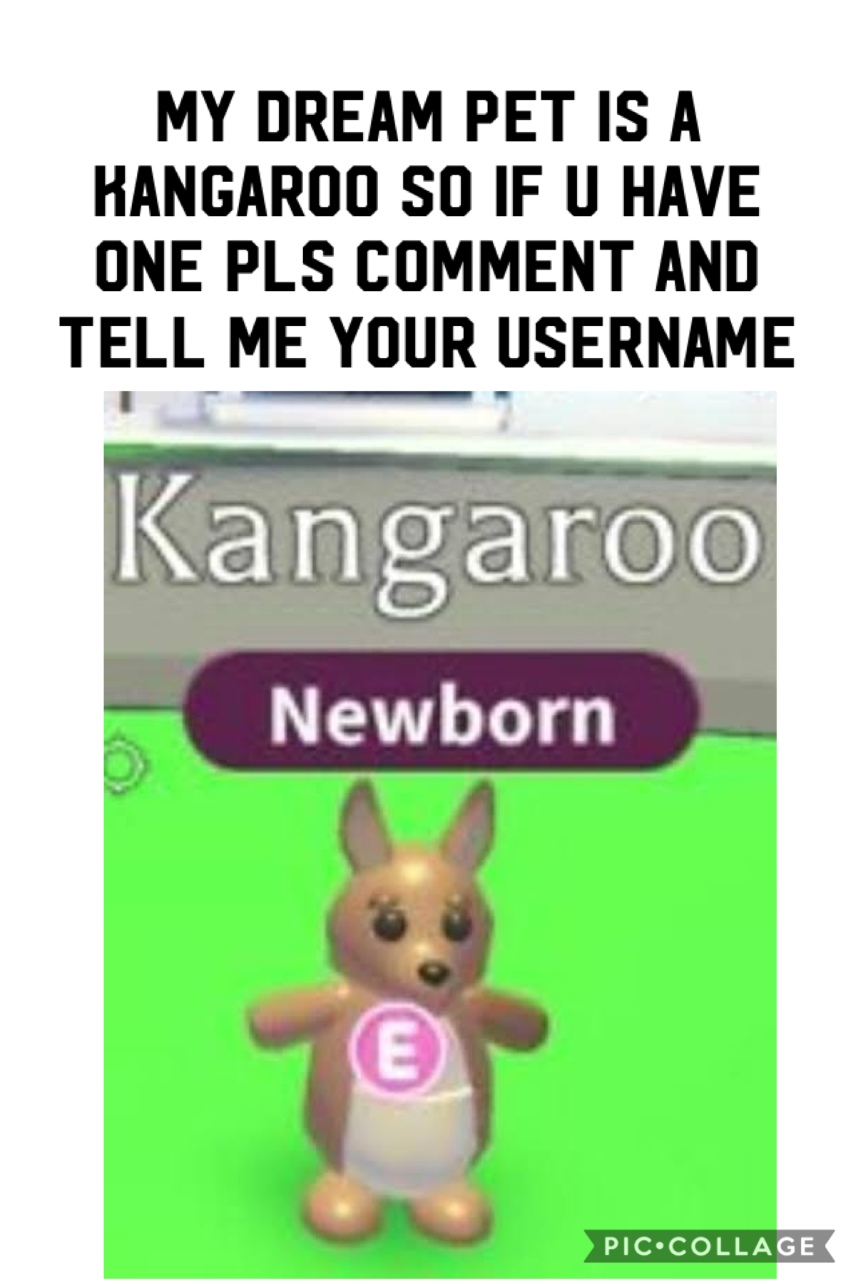 Please send me your username if you have a kangaroo