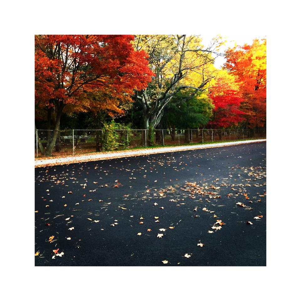 "fall down, like autumn leaves"