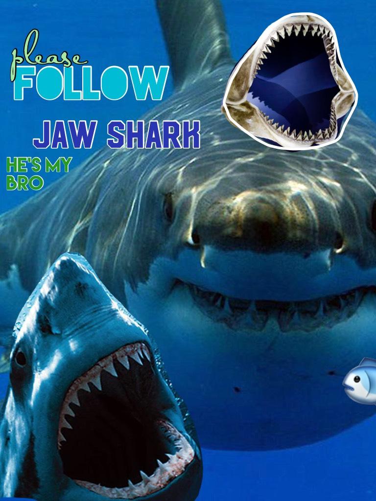 Please follow my brother jaw shark, Thank you