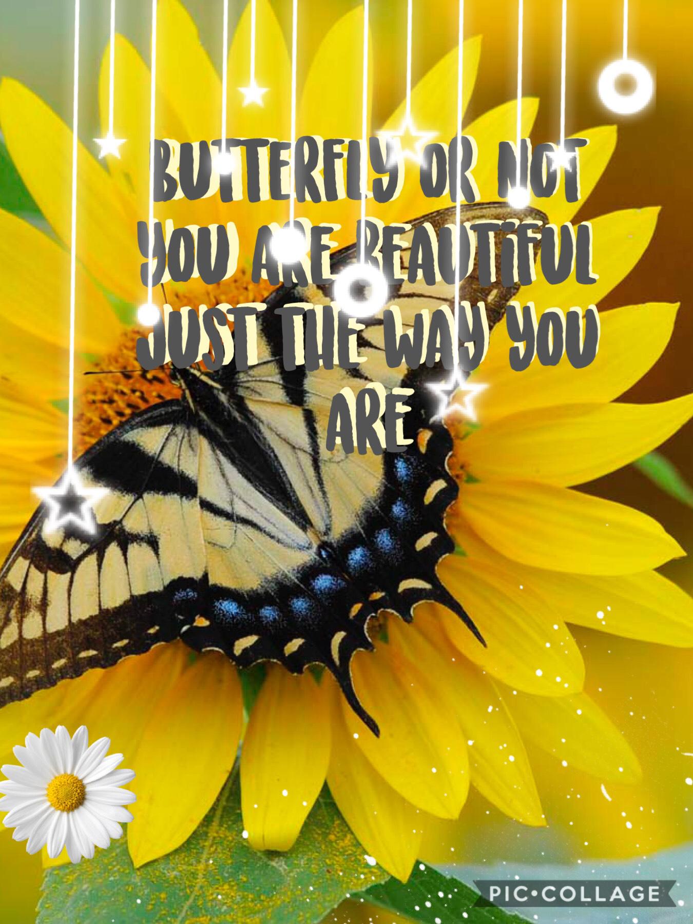 🌻🦋You are beautiful!🦋🌻