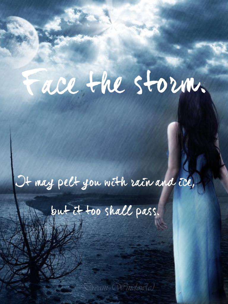 Face the Storm
