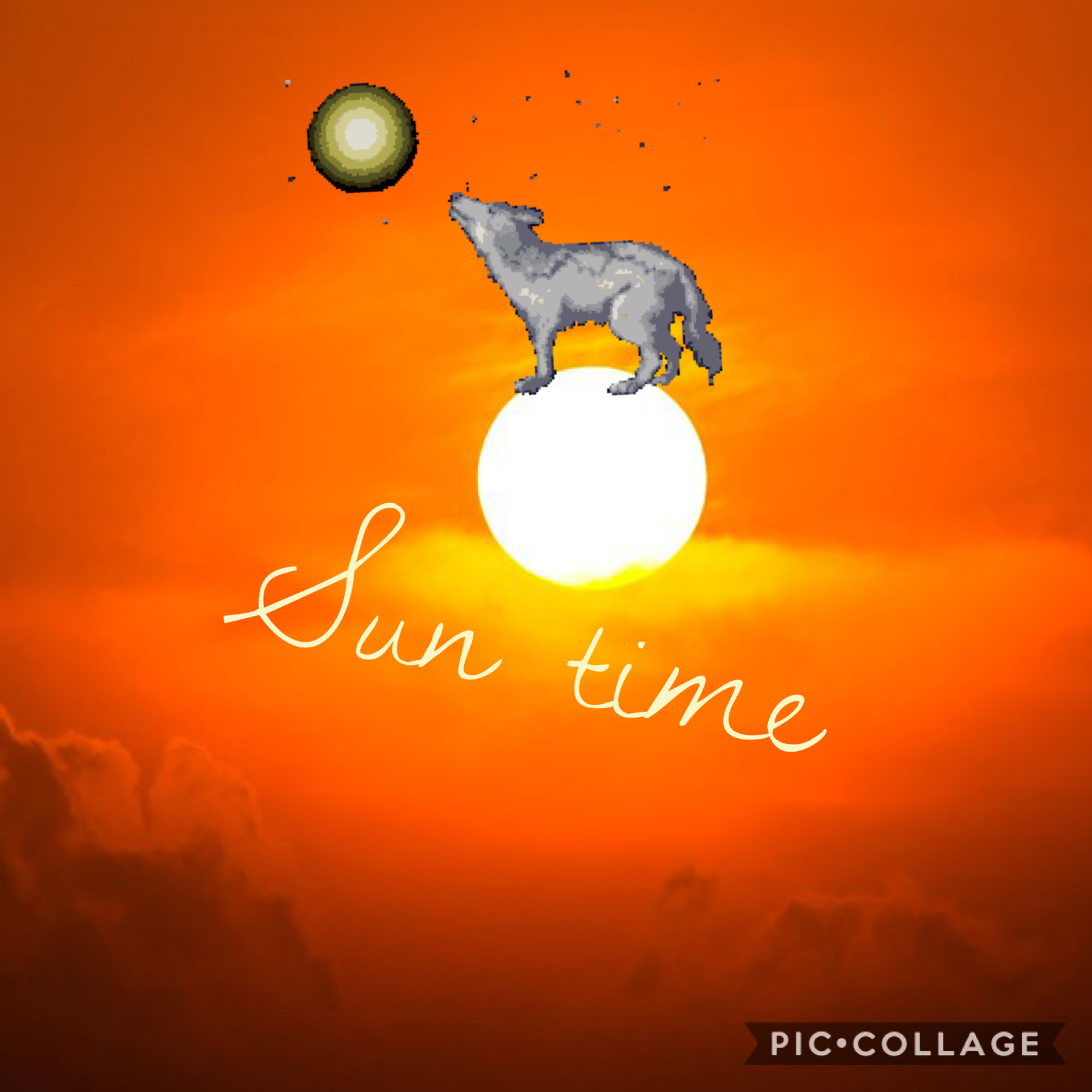 Sun time wolf howling on the sun!!! (OMG HE DOESN’T JNOWS THAT THE SUN IS SO HOT. HE’LL PROBABLY BURN) {please subscribe to @슈린이TV on youtube!} guys I’m updated so I’ll write longer title and the subscribe thing has got written a little different!