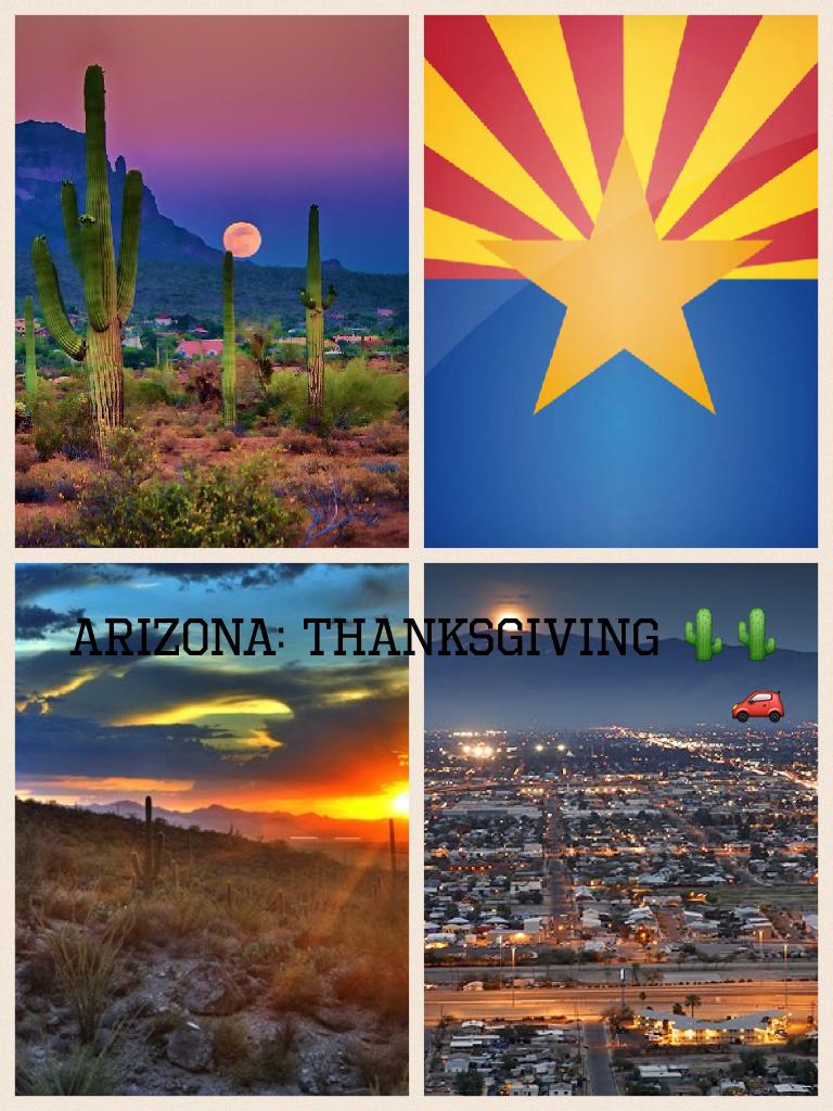 Arizona: Thanksgiving 🌵🌵🚗
