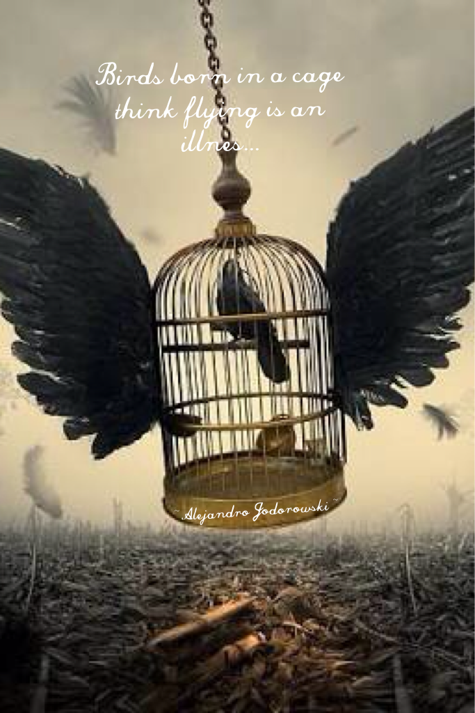 Birds born in a cage think flying is an illnes...