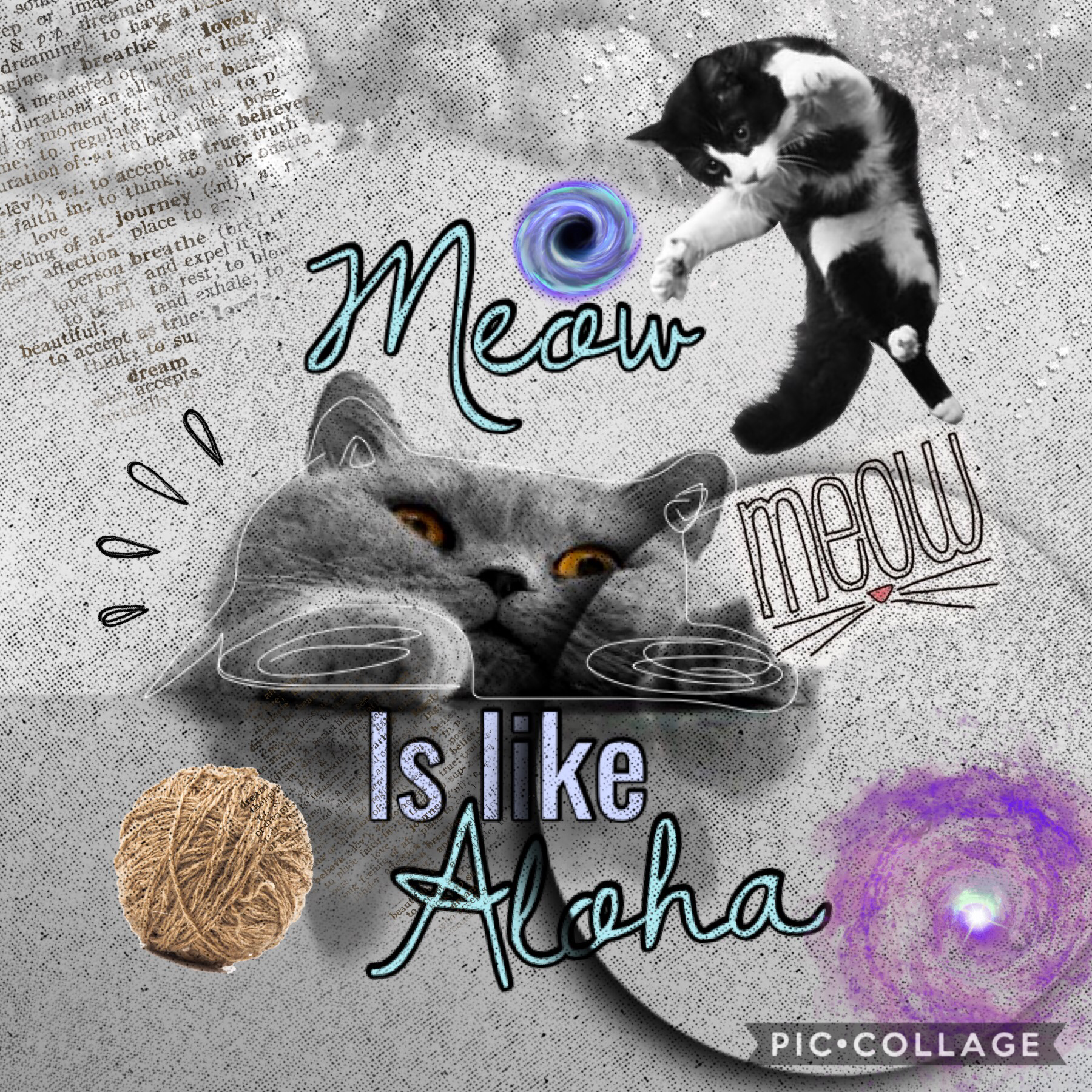 Meow is like aloha!