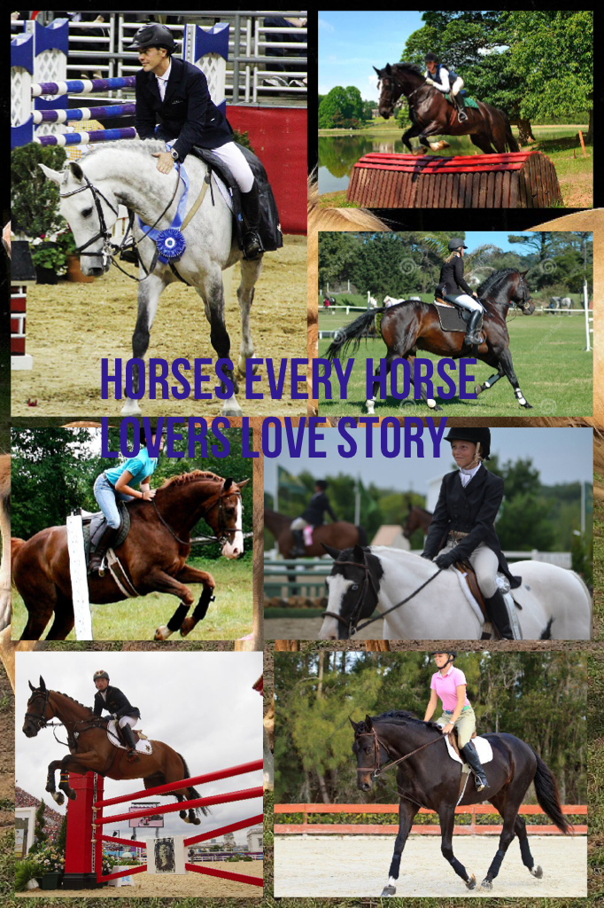 Horses every horse lovers love story