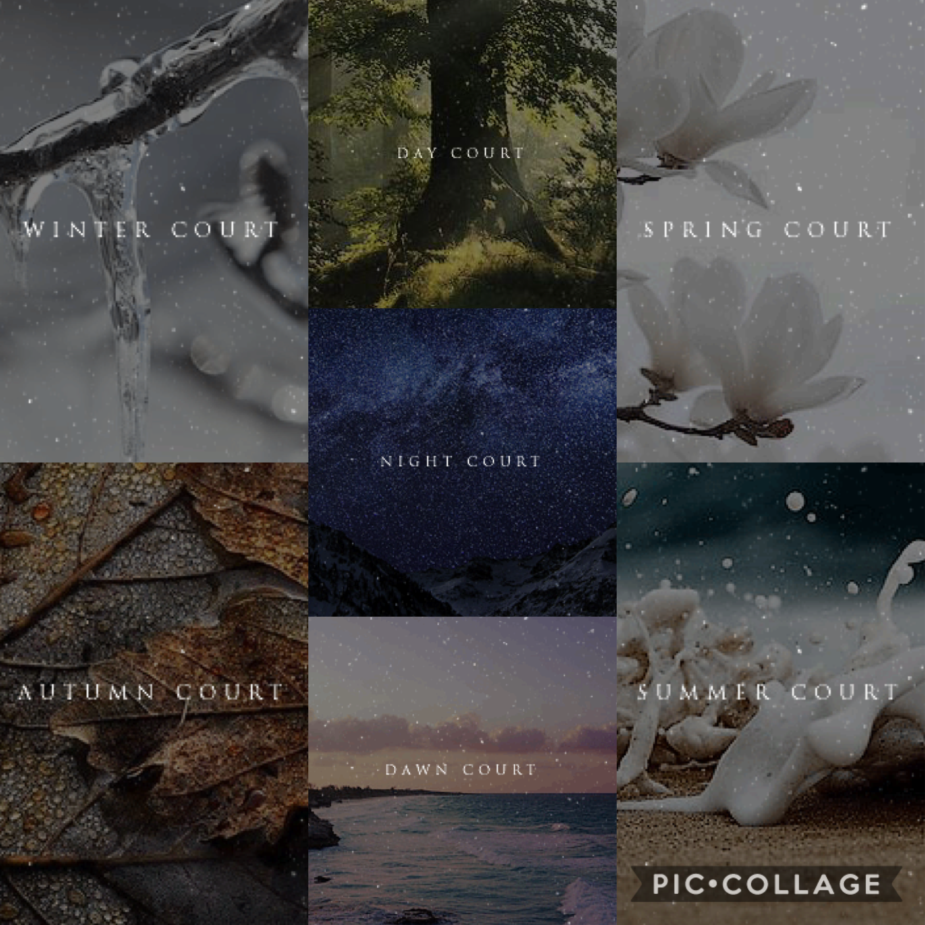 The acotar courts which one is yours? Mines either dawn or night