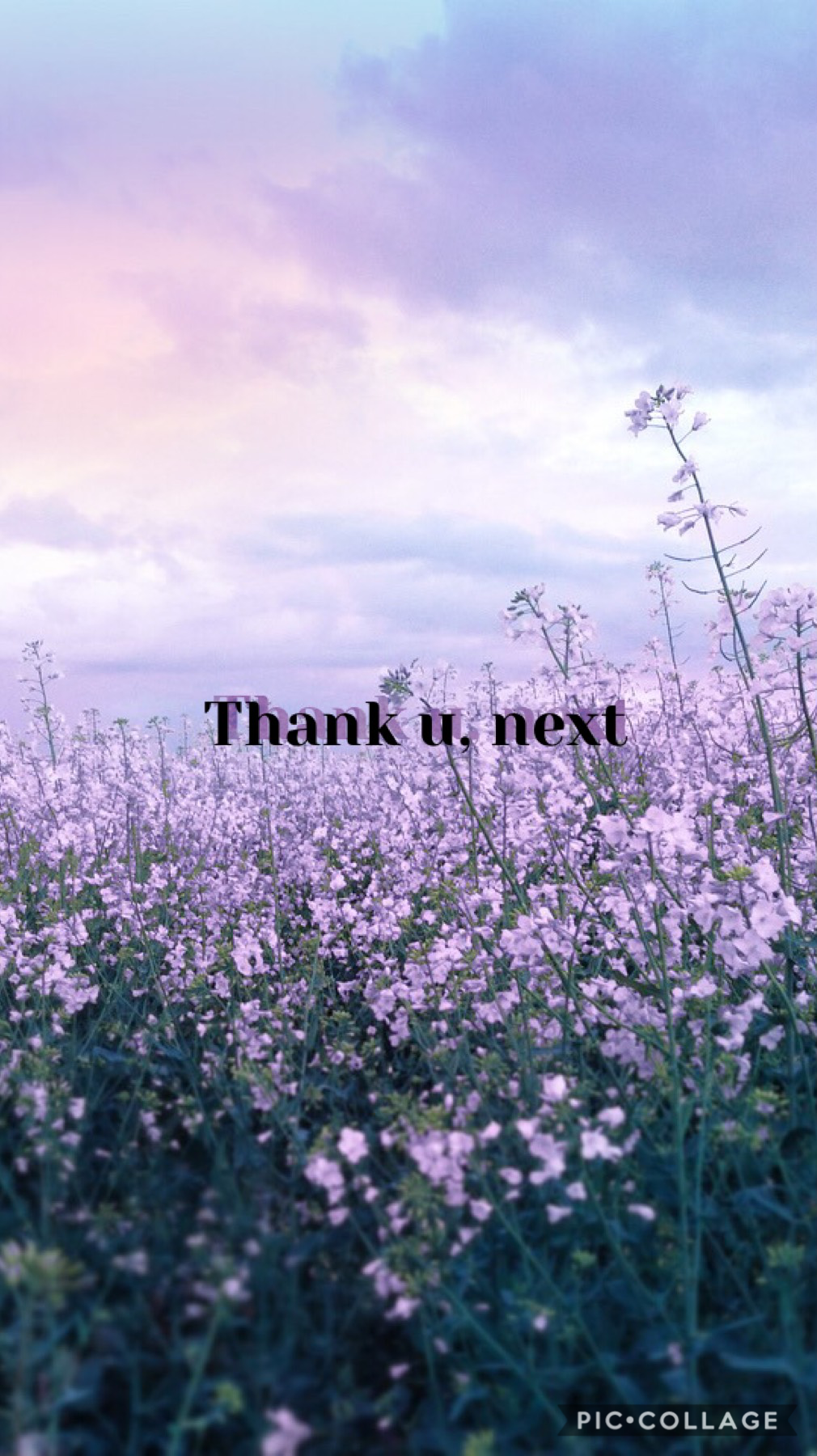 Thank u, next🌸💜