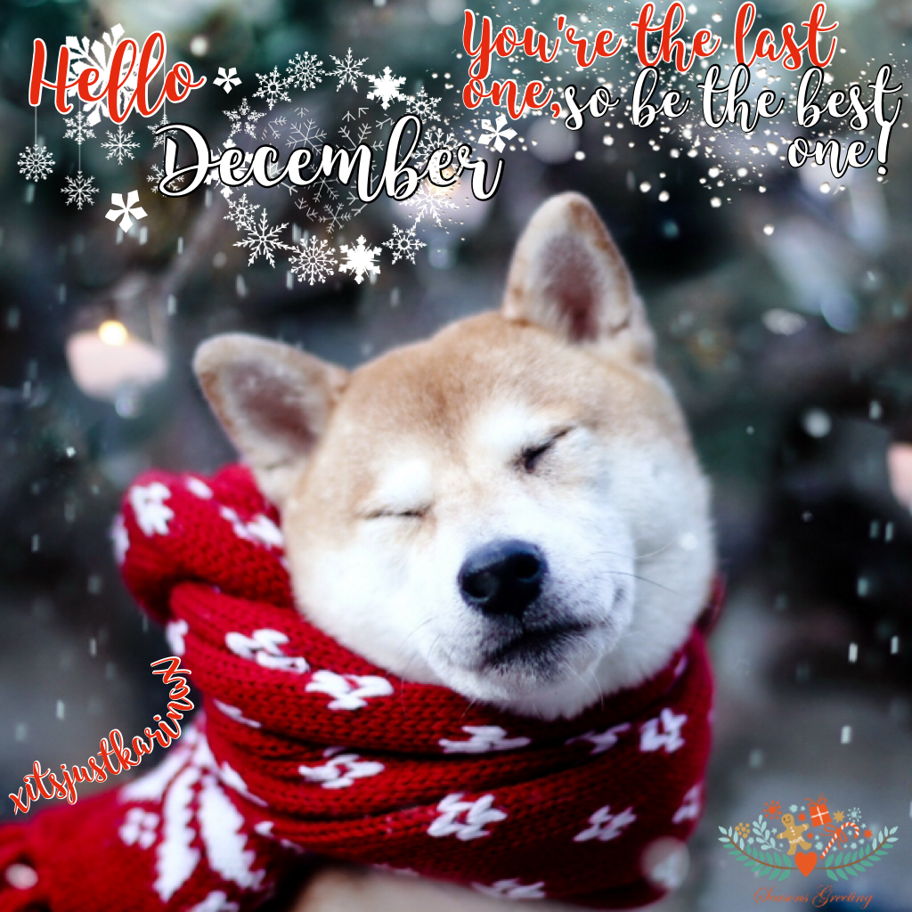 ❤️Click❤️
Yasss!Its December Y'all!
✨Holidays r near✨