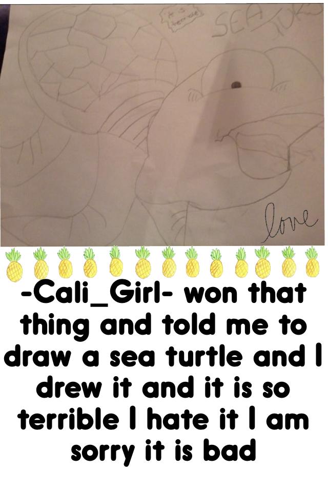 -Cali_Girl- won that thing and told me to draw a sea turtle and I drew it and it is so terrible I hate it I am sorry it is bad