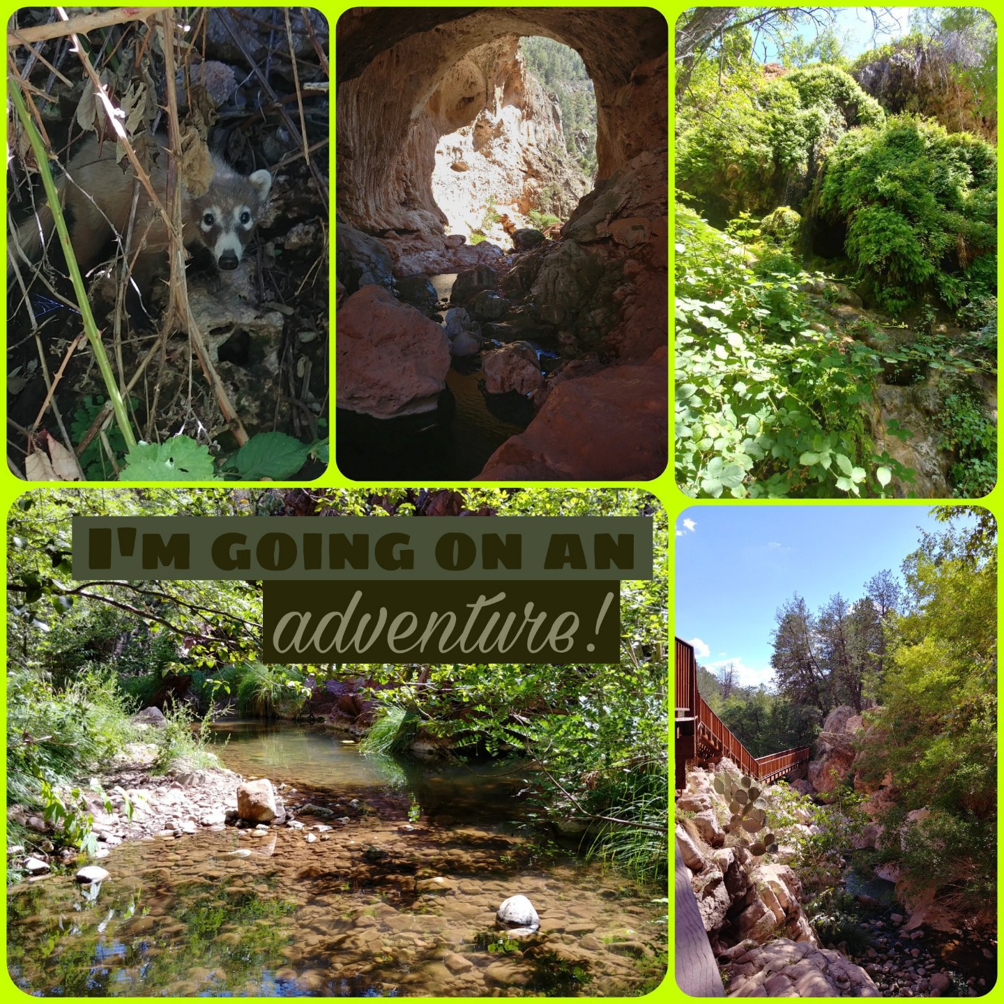 My adventure today at a natural park!