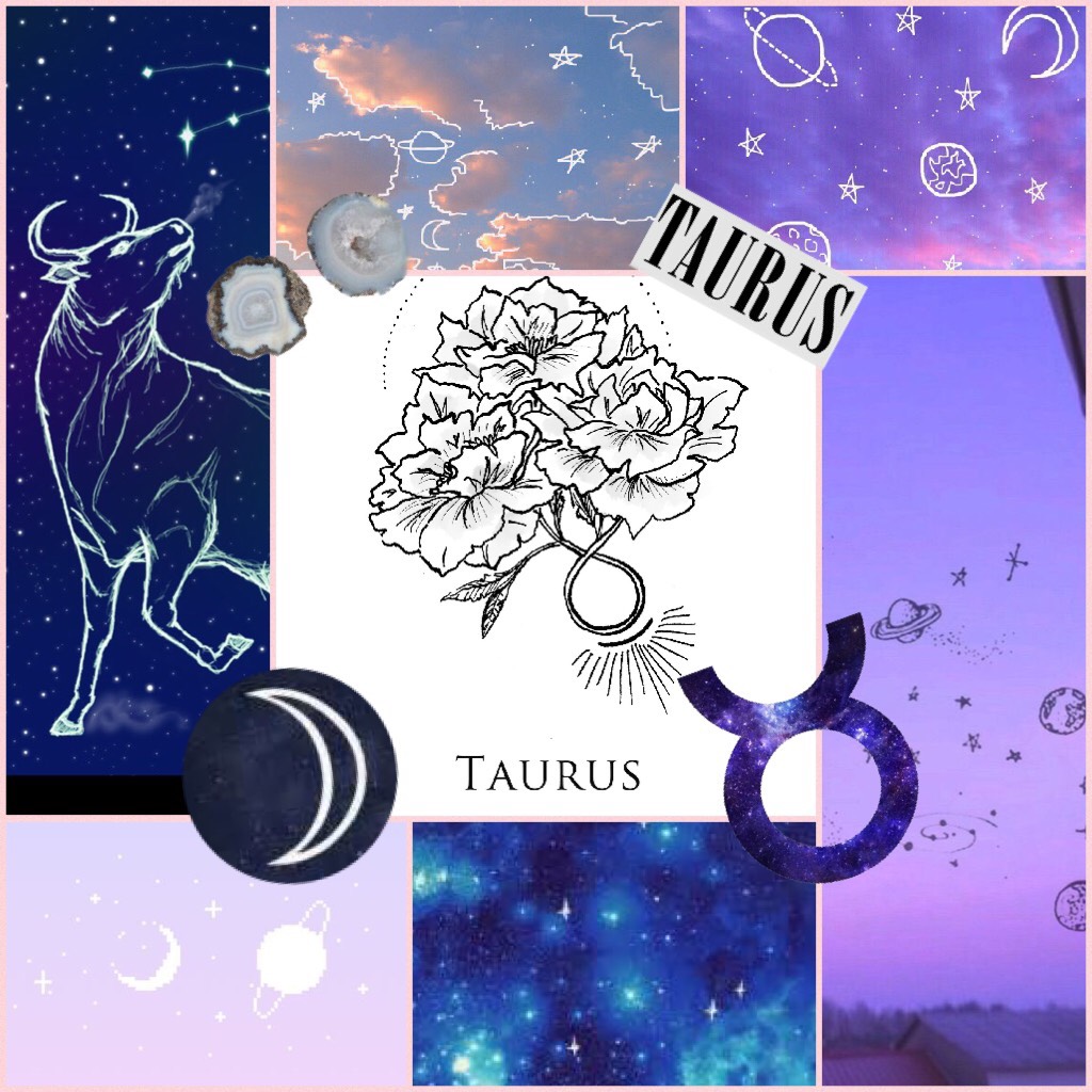 Taurus aesthetics 