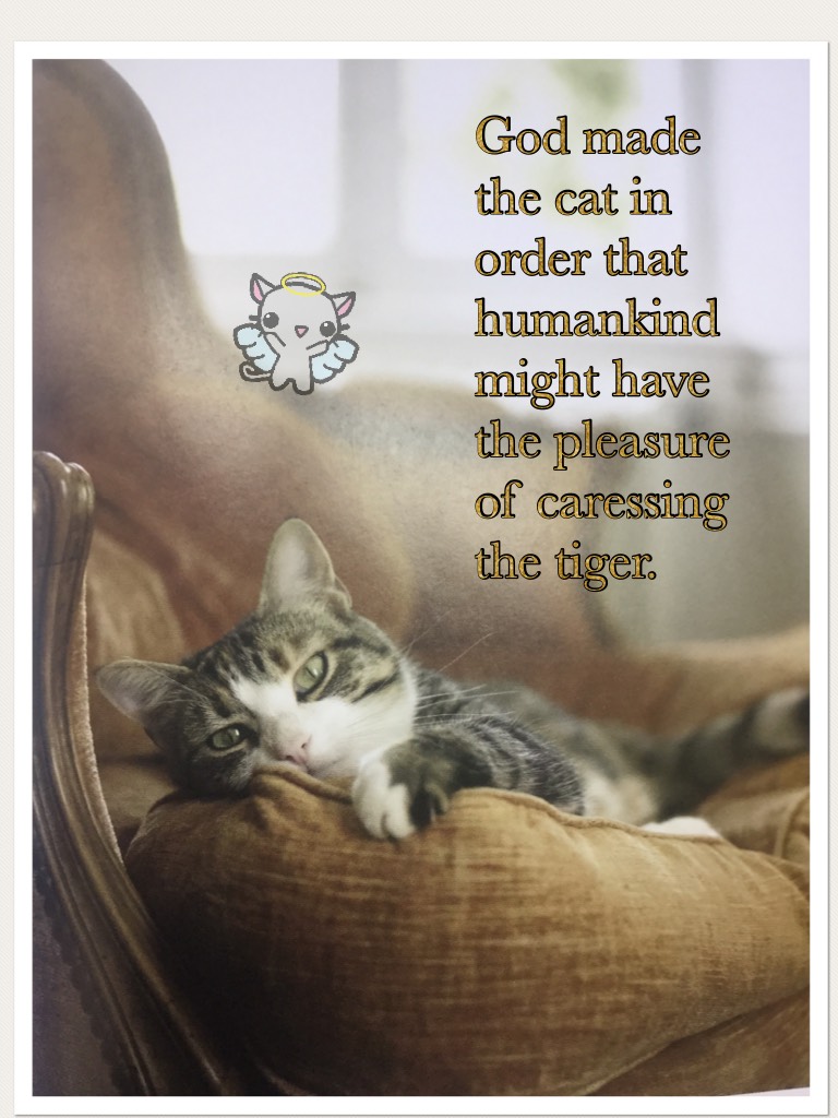 God made the cat in order that humankind might have the pleasure of caressing the tiger.