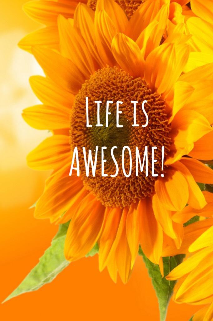 Life is AWESOME!