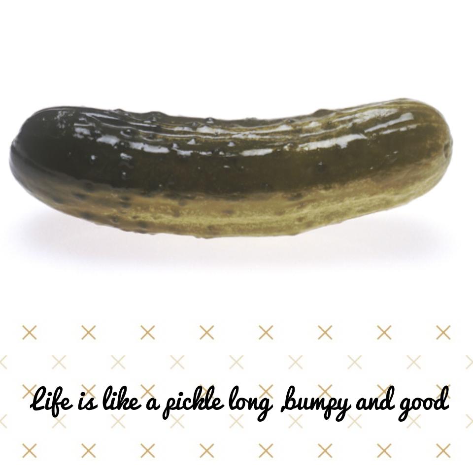 Life is like a pickle long ,bumpy and good