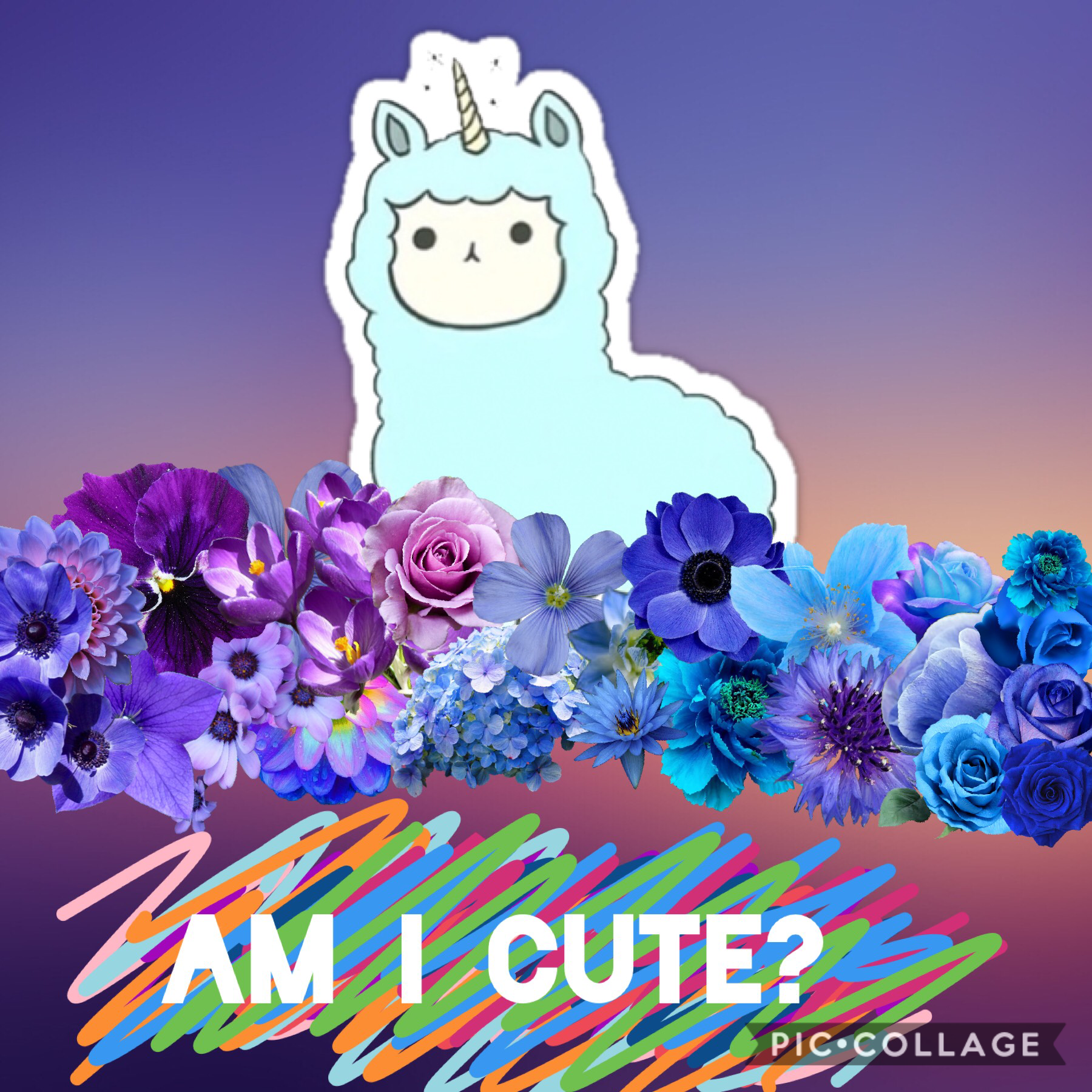 Am I cute?