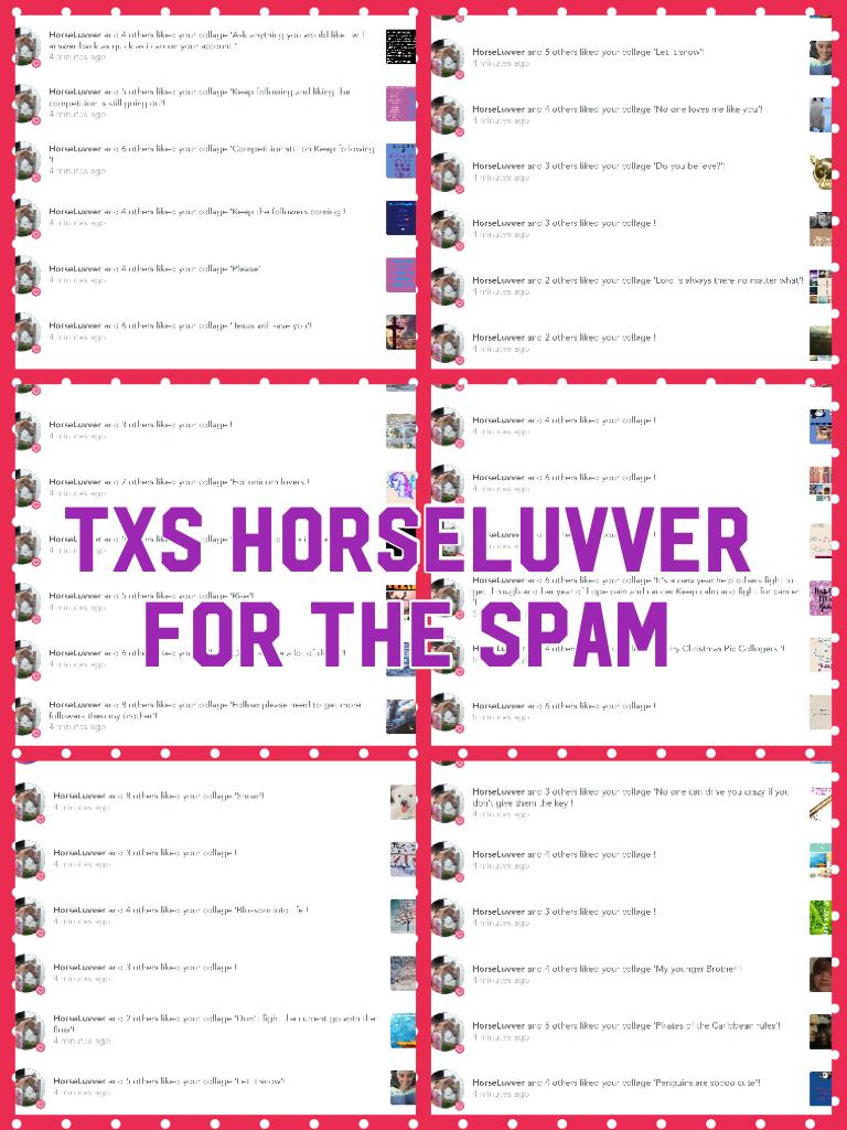 Follow HorseLuvver