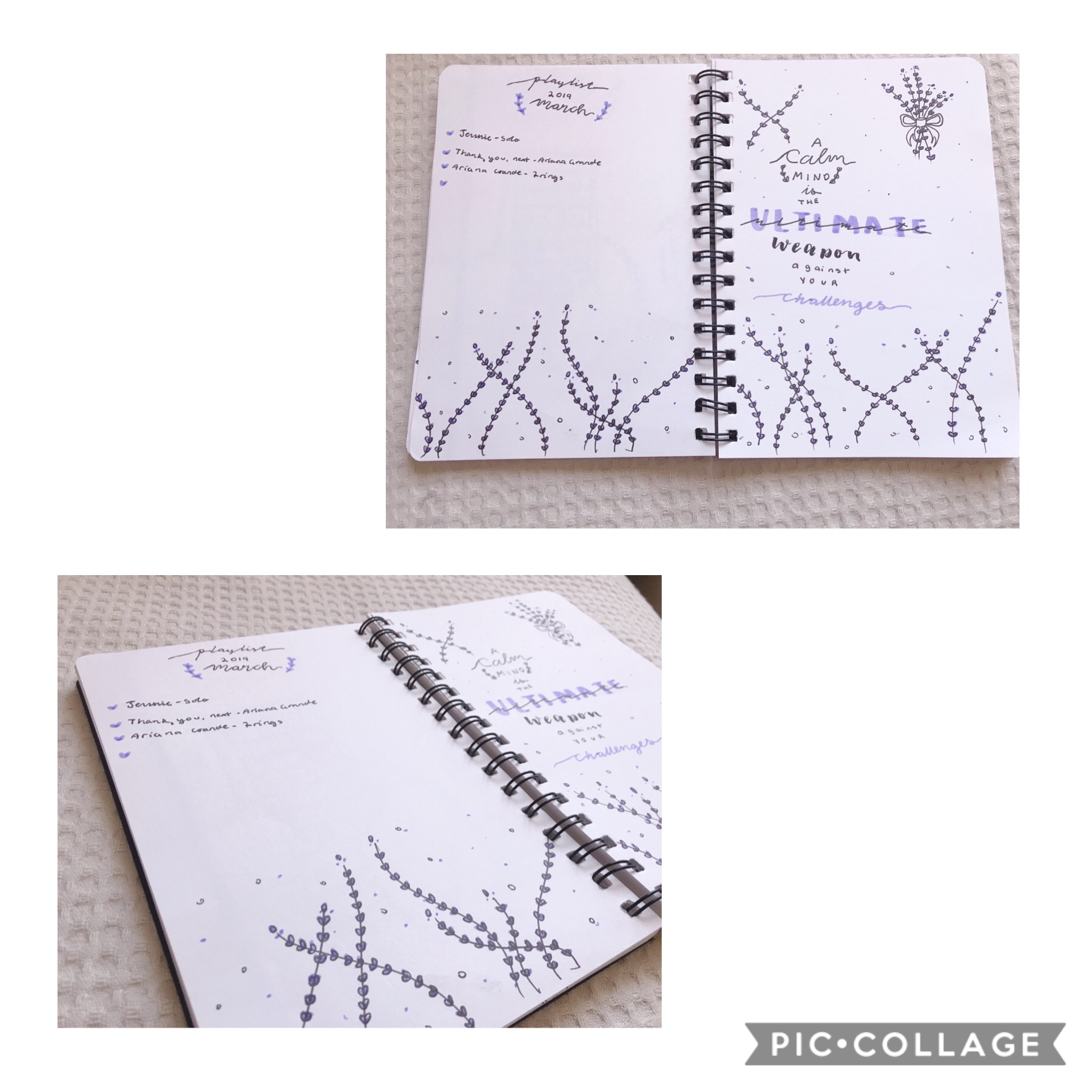 P.S this months theme was inspired by AmandaRachLee’s May 2018 Bullet journal 💜💜