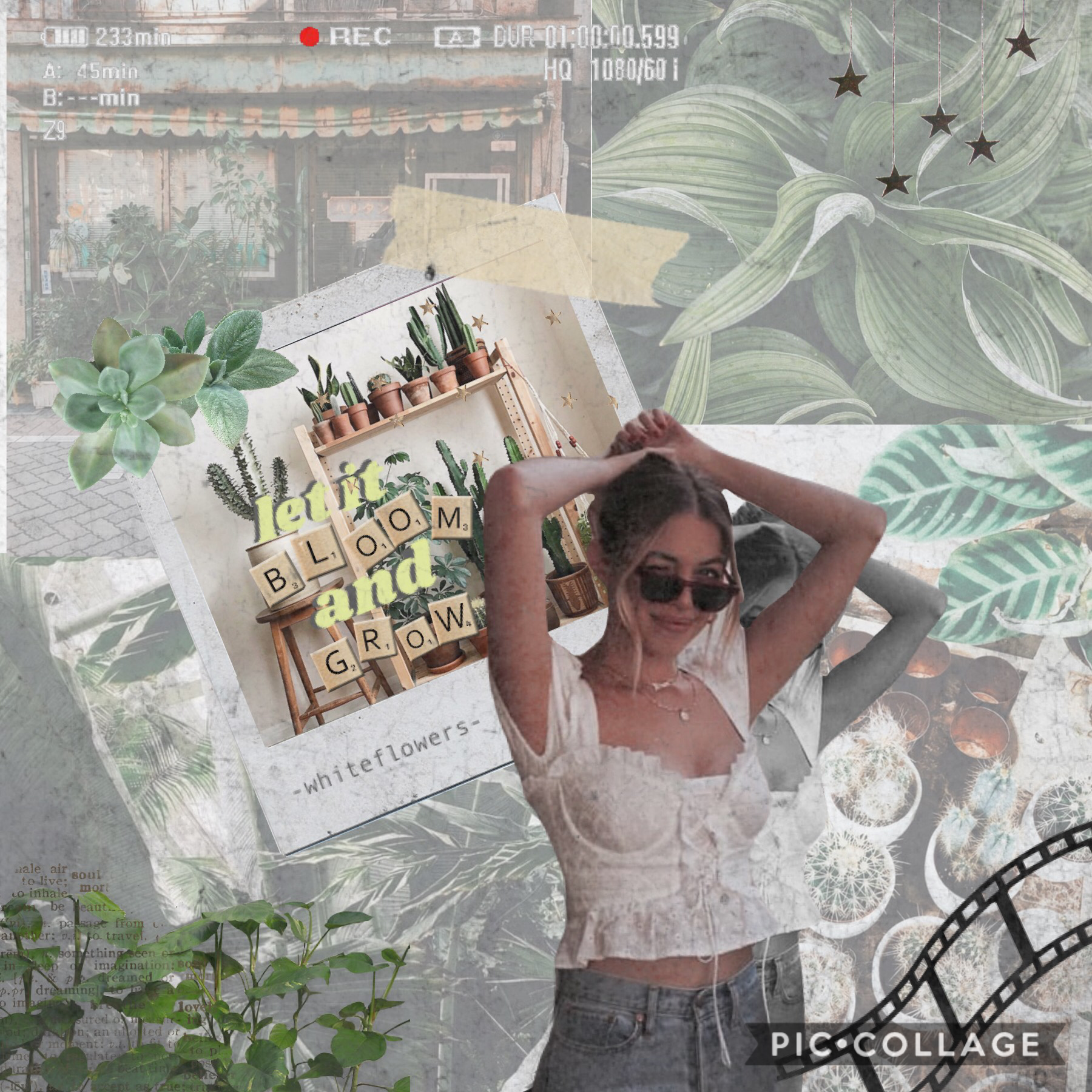 Hope unlike this green themed collage! Tap 💓 💫 
Hey how are yall all doing? Please let me know what you would like me to do next and if u have any themes you would want me to do! 💓 🦋 💫 xx
