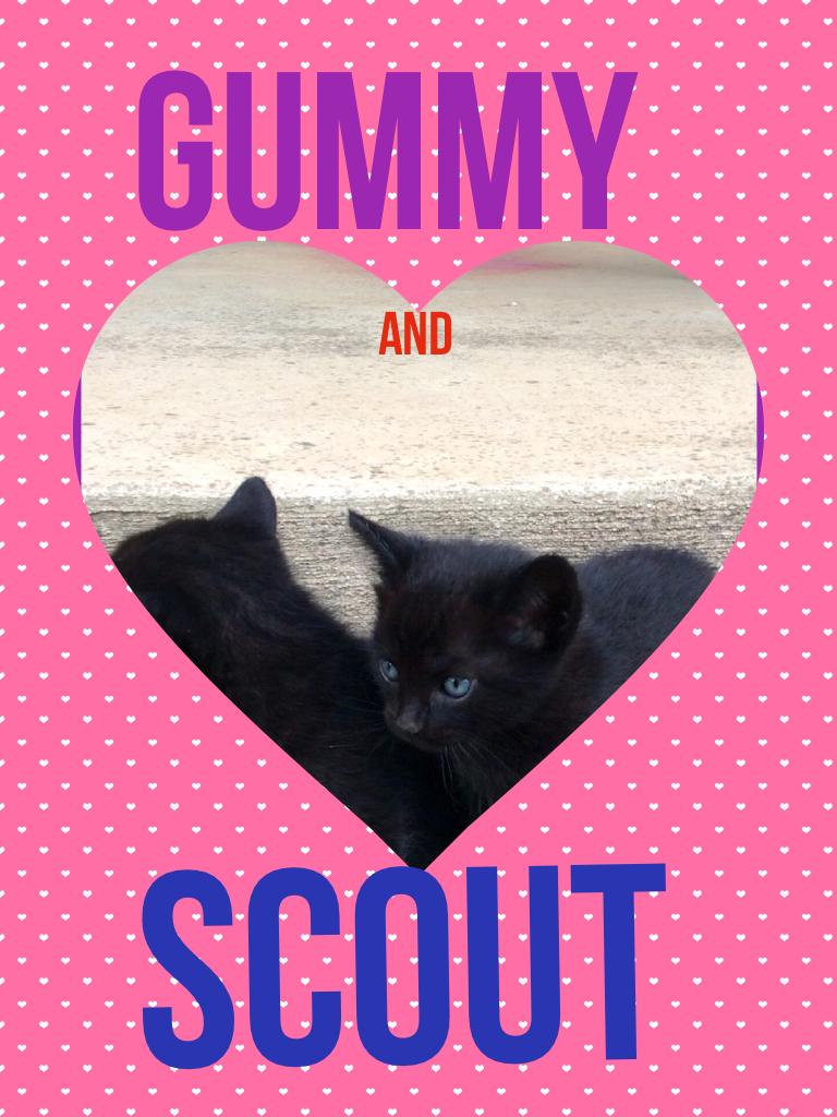 Gummy and Scout