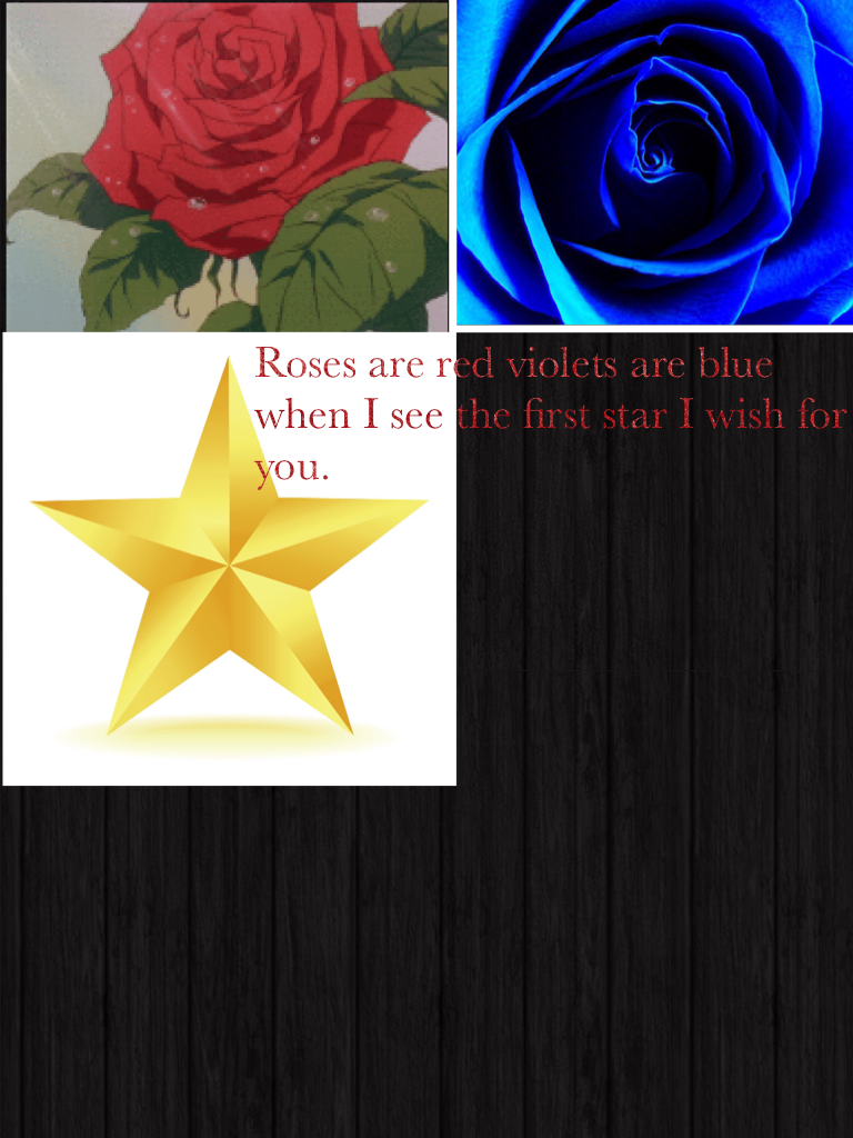 Roses are red violets are blue when I see the first star I wish for you.