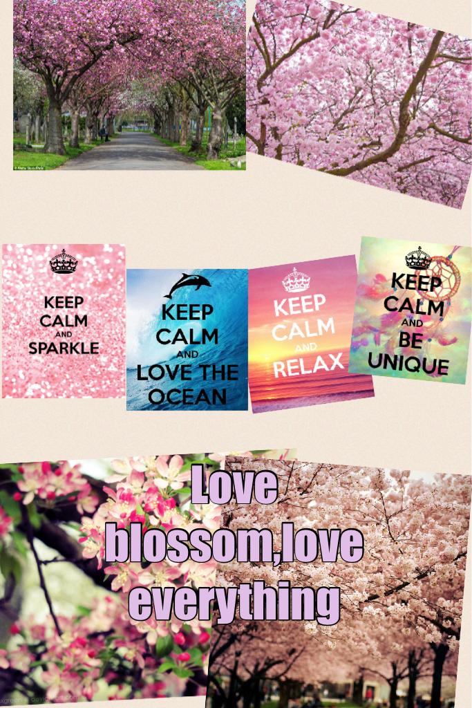 Love blossom,love everything 


TAP❤️ 
please like and comment on what you think 