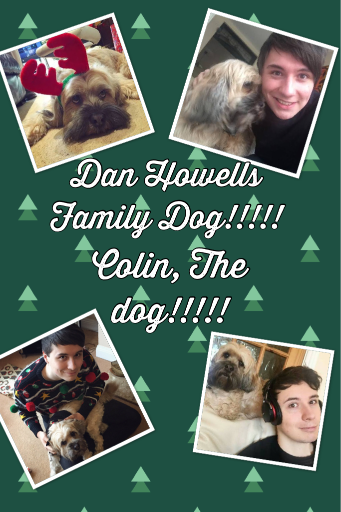 Tap For More Info,
Dan Howells Family Dog Is Called Colin.