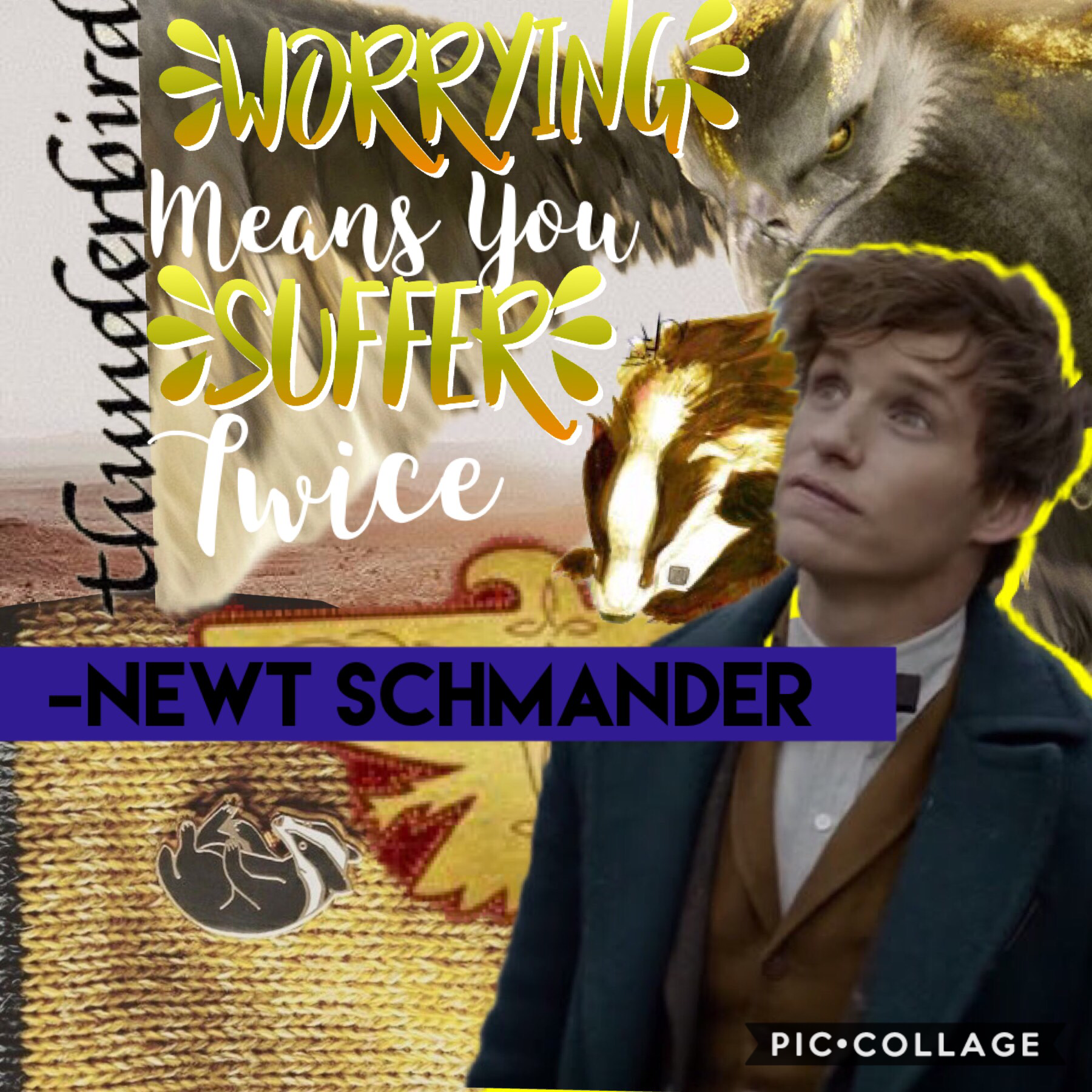 Newt Schmander collage