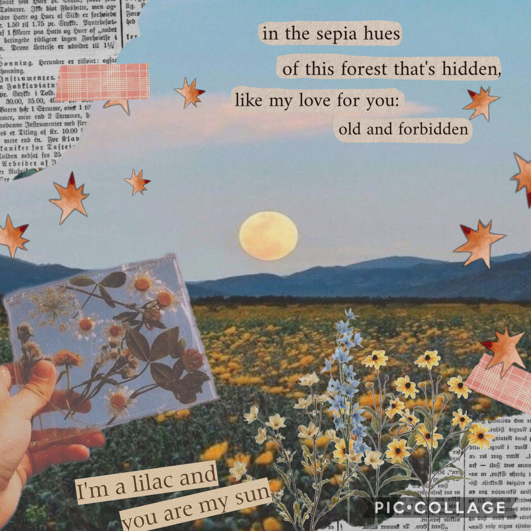 Collage by ella_aes