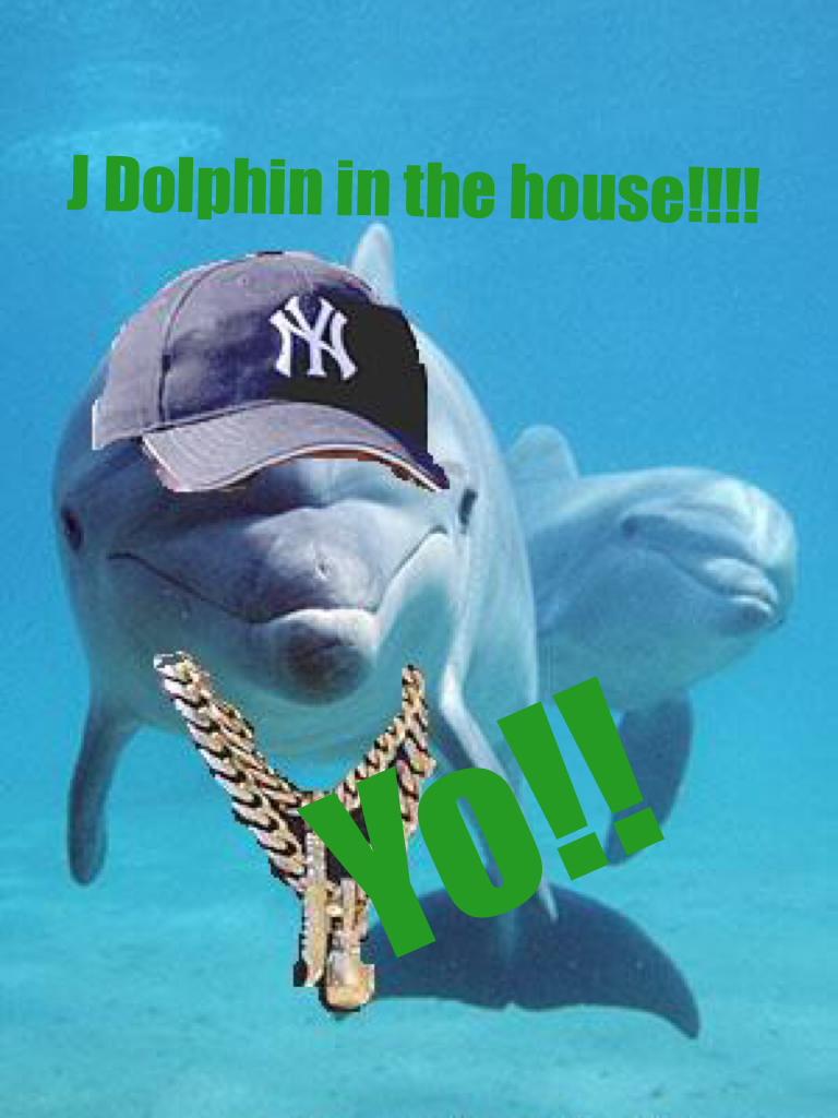 I love this Dolphin