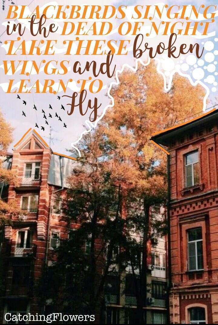 Click👑
Quite proud of this woo🍂🍂
Should I enter it into the piccollage fall contest? Comment 🌟 