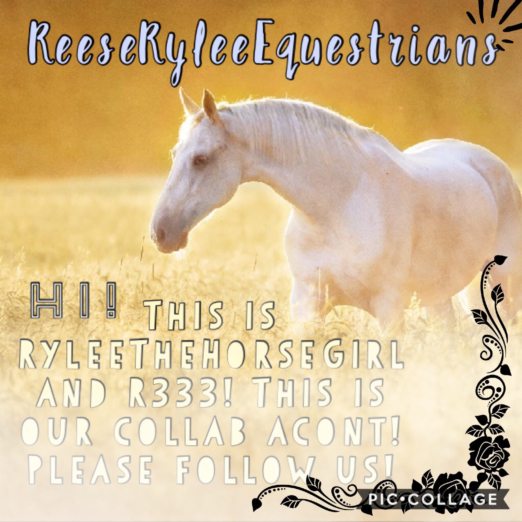 Welcome to our new collab account!! Check out RyleeTheHorseGirl and R333!!