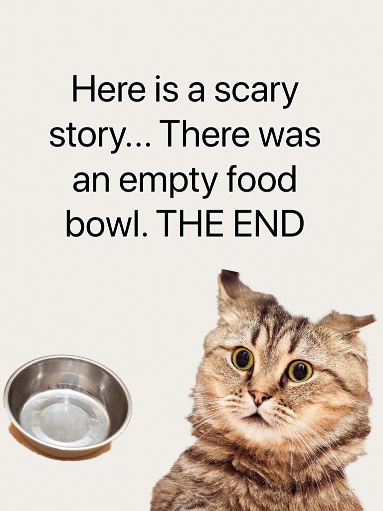 Here is a scary story... There was an empty food bowl. THE END