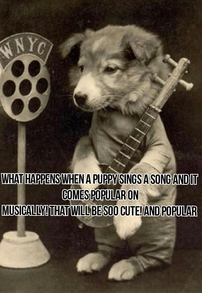 What happens when a puppy sings a song and it  comes popular on
musically! That will be soo cute! And popular 
