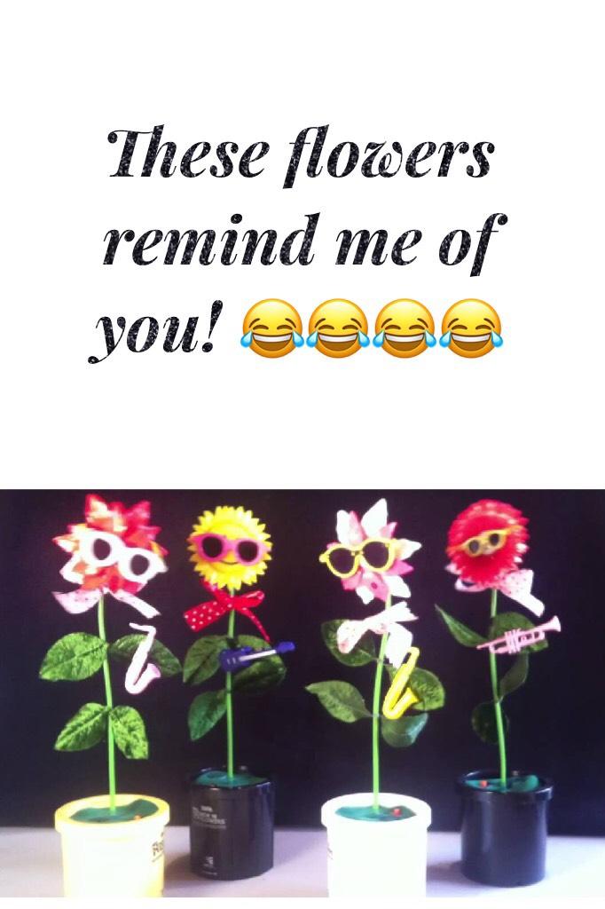 These flowers remind me of you! 😂😂😂😂